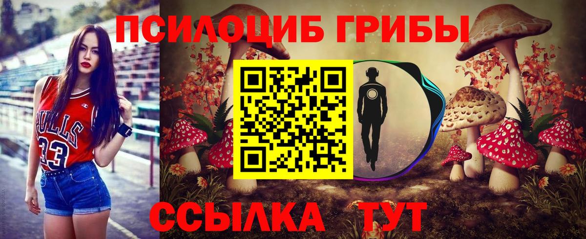 Галлюциногенные грибы мицелий Бугуруслан